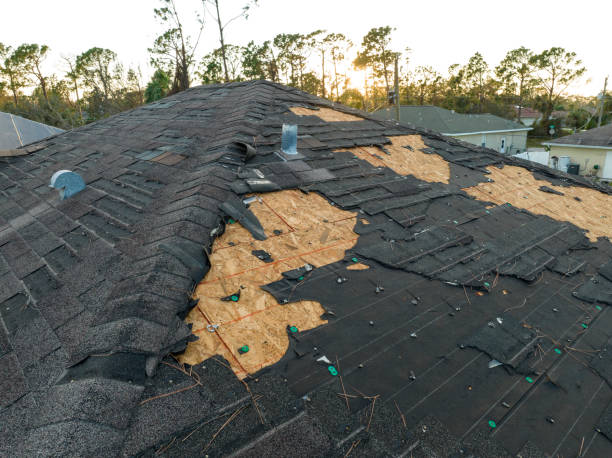 Best Roof Ventilation Installation  in Orlinda, TN