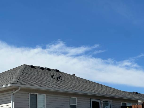 Best Roof Leak Repair  in Orlinda, TN
