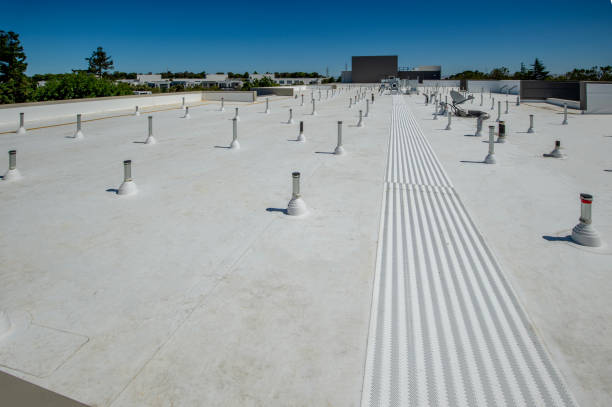 Best Flat Roofing  in Orlinda, TN
